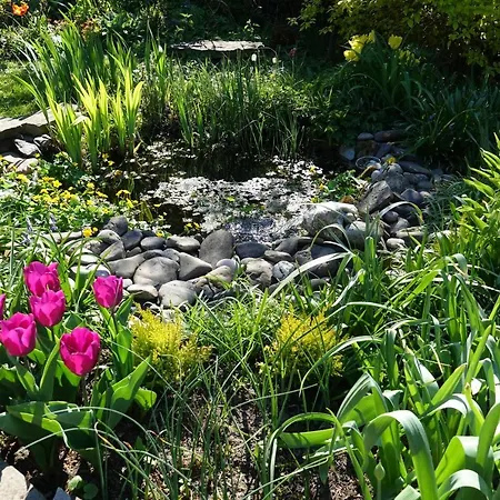 Bed & Breakfast Le Jardin Des Miroirs