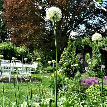 Bed & Breakfast Le Jardin Des Miroirs