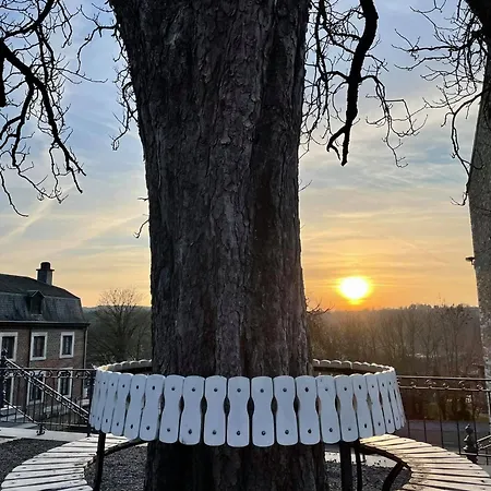 Le Jardin Des Miroirs Esneux